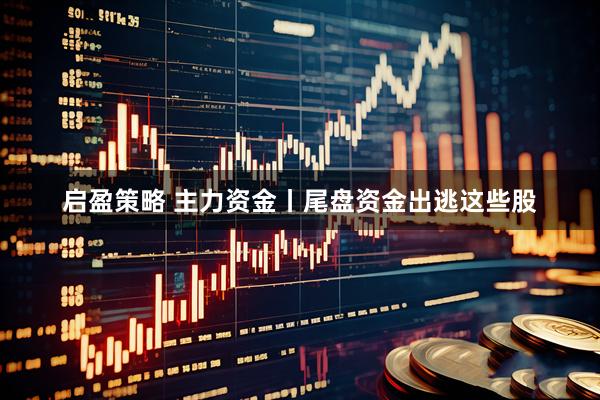 启盈策略 主力资金丨尾盘资金出逃这些股