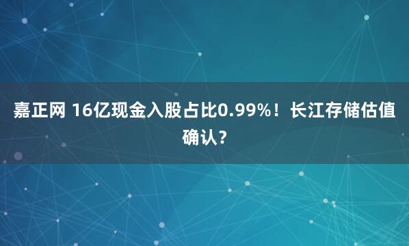 嘉正网 16亿现金入股占比0.99%！长江存储估值确认？