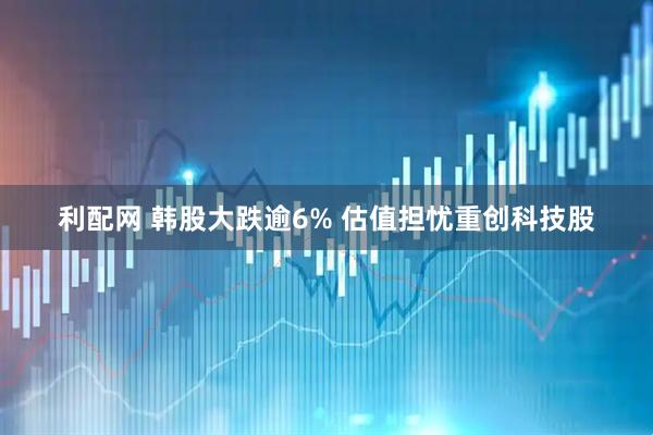 利配网 韩股大跌逾6% 估值担忧重创科技股