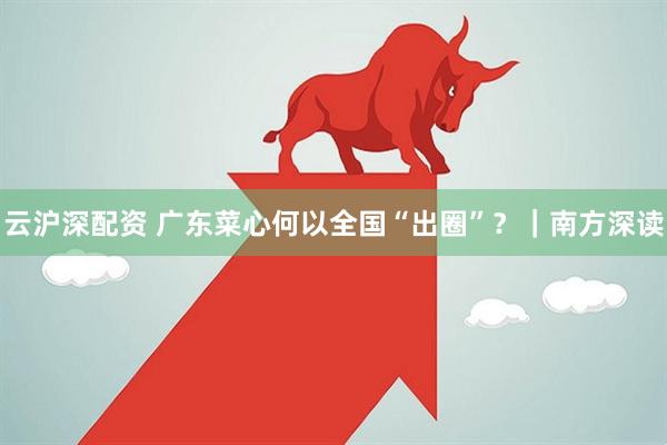 云沪深配资 广东菜心何以全国“出圈”？｜南方深读