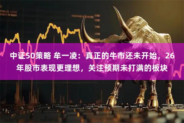 中证50策略 牟一凌：真正的牛市还未开始，26年股市表现更理想，关注预期未打满的板块